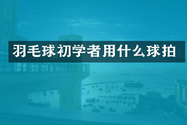 羽毛球初学者用什么球拍