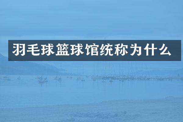羽毛球篮球馆统称为什么