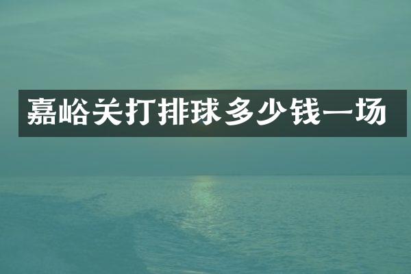 嘉峪关打排球多少钱一场