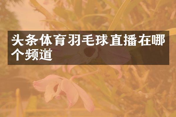 头条体育羽毛球直播在哪个频道