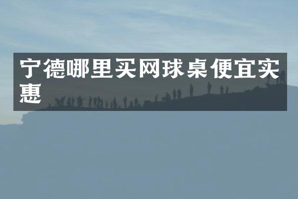 宁德哪里买网球桌便宜实惠