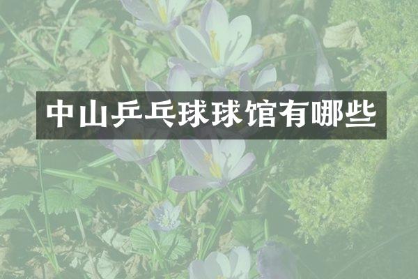 中山乒乓球球馆有哪些