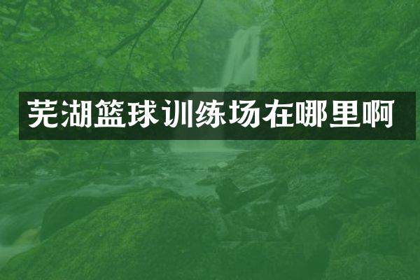 芜湖篮球训练场在哪里啊