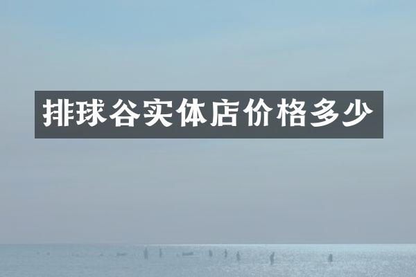 排球谷实体店价格多少