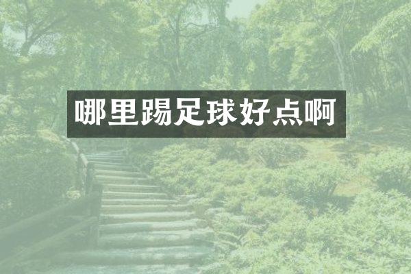 哪里踢足球好点啊