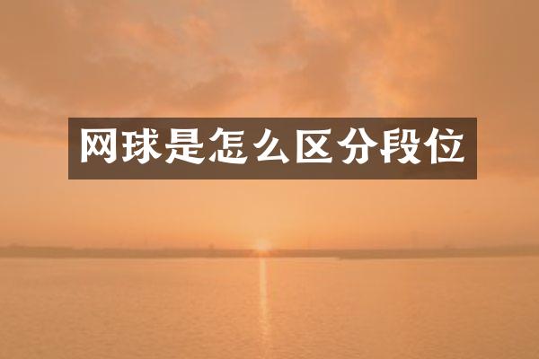 网球是怎么区分段位