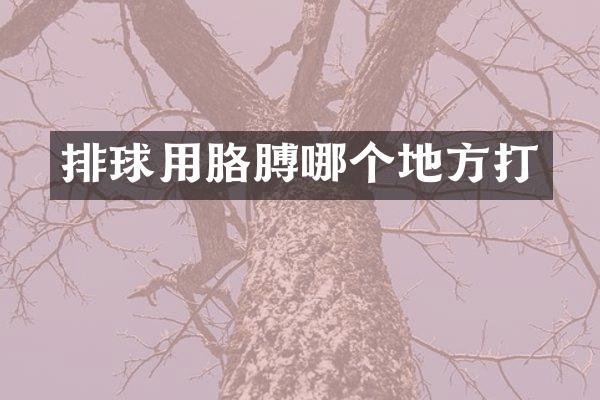 排球用胳膊哪个地方打