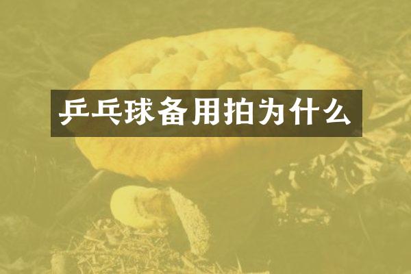 乒乓球备用拍为什么