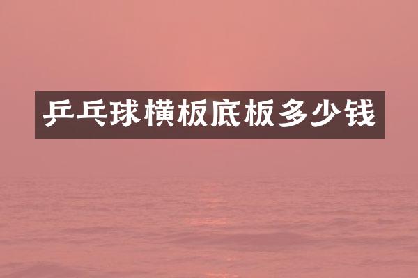 乒乓球横板底板多少钱