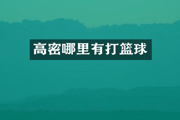 高密哪里有打篮球