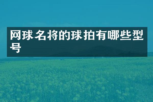 网球名将的球拍有哪些型号