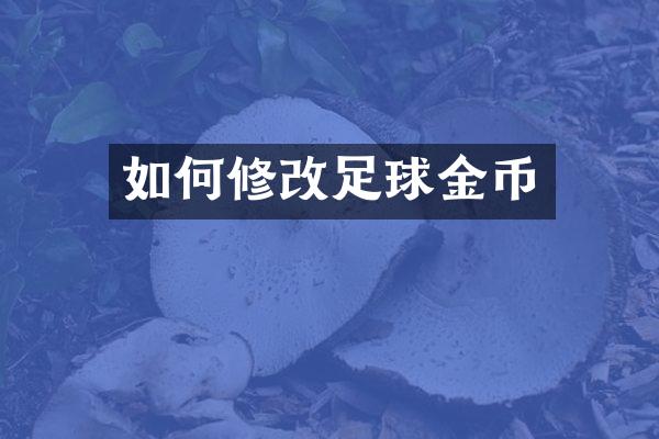 如何修改足球金币