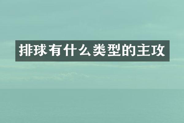 排球有什么类型的主攻
