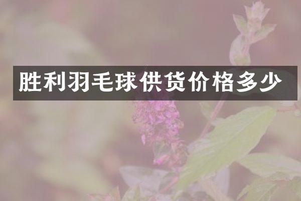 胜利羽毛球供货价格多少