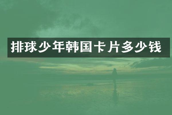 排球少年韩国卡片多少钱