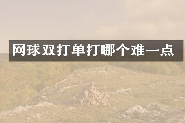 网球双打单打哪个难一点