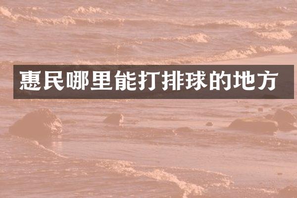 惠民哪里能打排球的地方