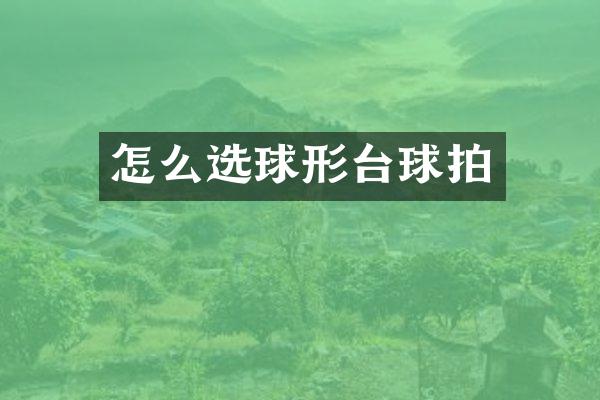 怎么选球形台球拍