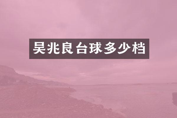 吴兆良台球多少档