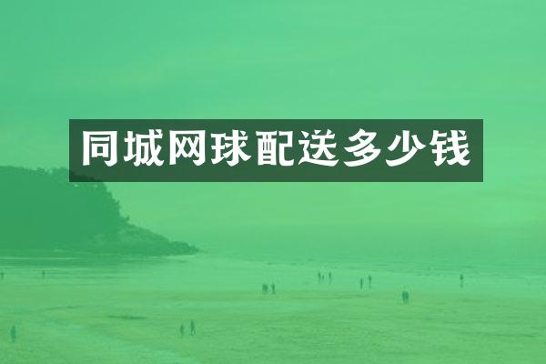 同城网球配送多少钱
