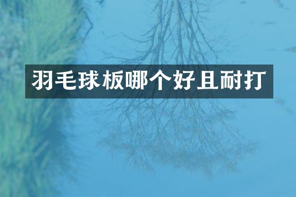 羽毛球板哪个好且耐打
