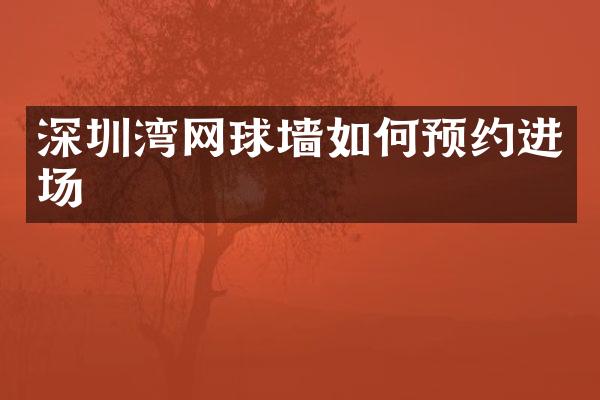 深圳湾网球墙如何预约进场