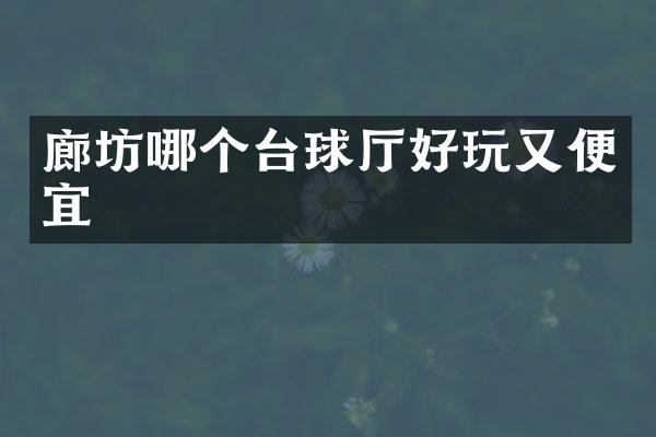 廊坊哪个台球厅好玩又便宜