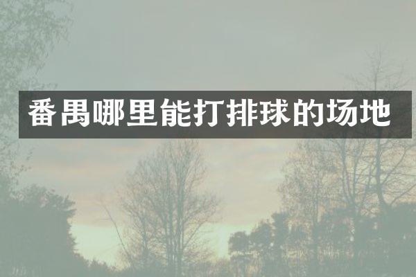 番禺哪里能打排球的场地