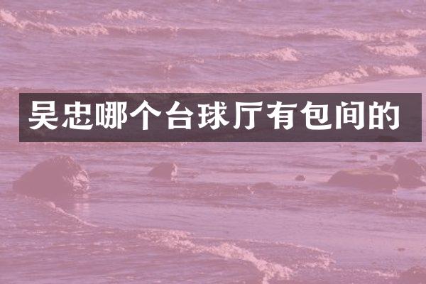 吴忠哪个台球厅有包间的