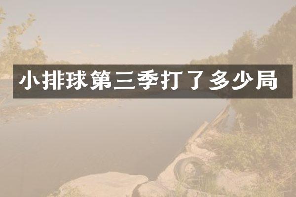 小排球第三季打了多少局