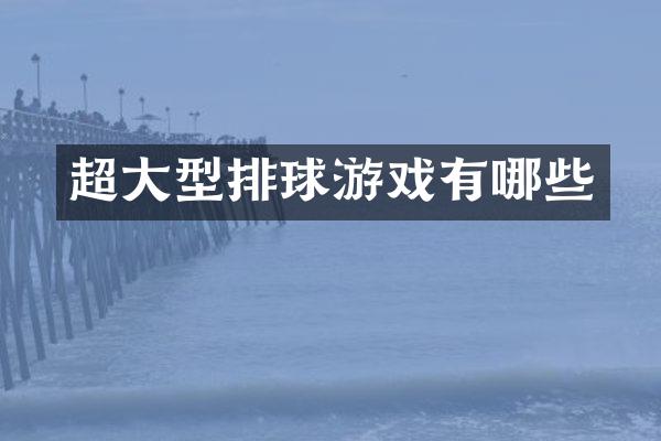 超大型排球游戏有哪些