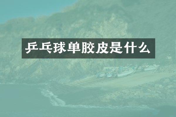 乒乓球单胶皮是什么