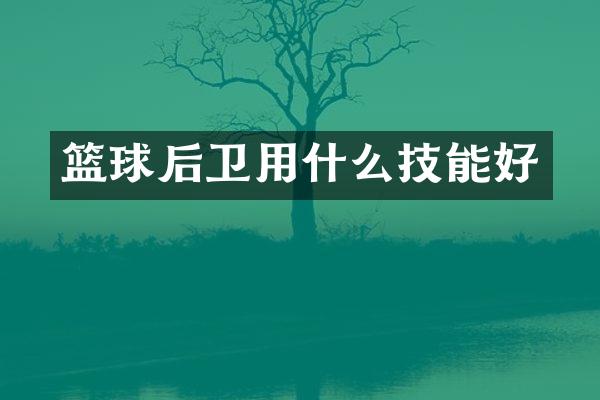 篮球后卫用什么技能好