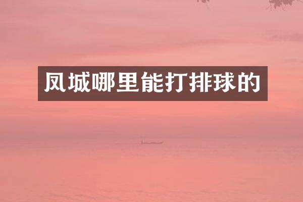 凤城哪里能打排球的
