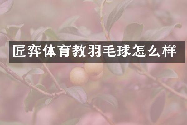 匠弈体育教羽毛球怎么样
