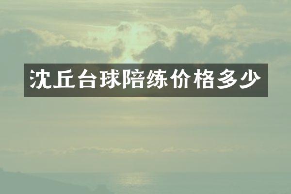 沈丘台球陪练价格多少