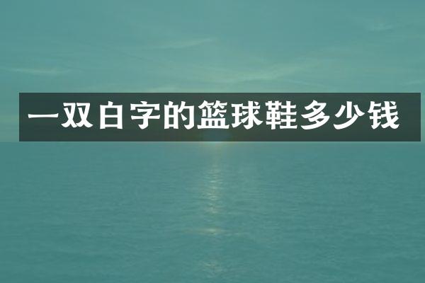 一双白字的篮球鞋多少钱
