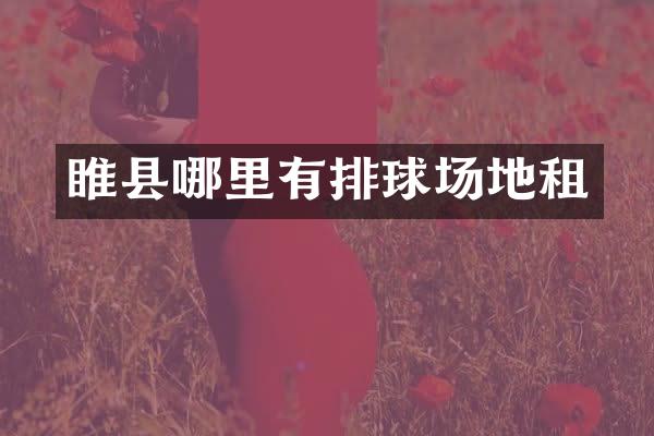 睢县哪里有排球场地租