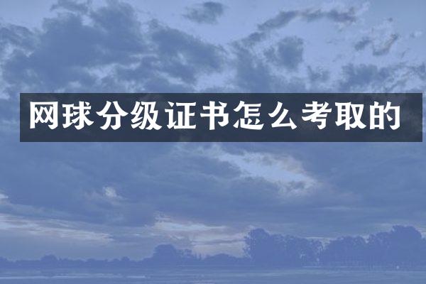 网球分级证书怎么考取的