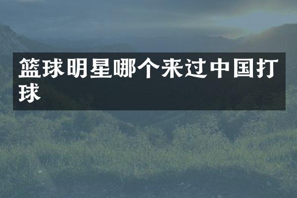 篮球明星哪个来过中国打球