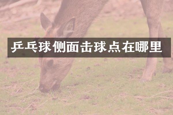 乒乓球侧面击球点在哪里