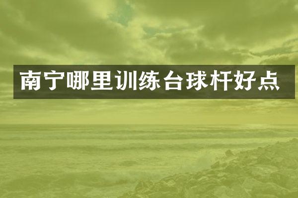南宁哪里训练台球杆好点
