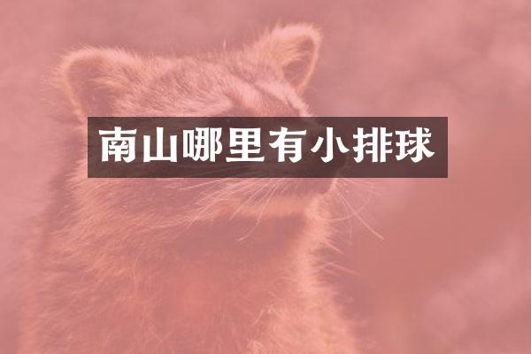 南山哪里有小排球