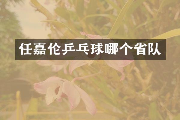 任嘉伦乒乓球哪个省队