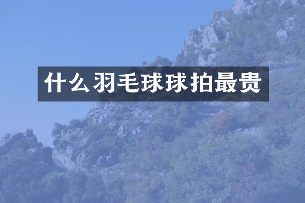什么羽毛球球拍最贵