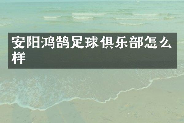 安阳鸿鹄足球俱乐部怎么样