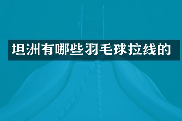 坦洲有哪些羽毛球拉线的