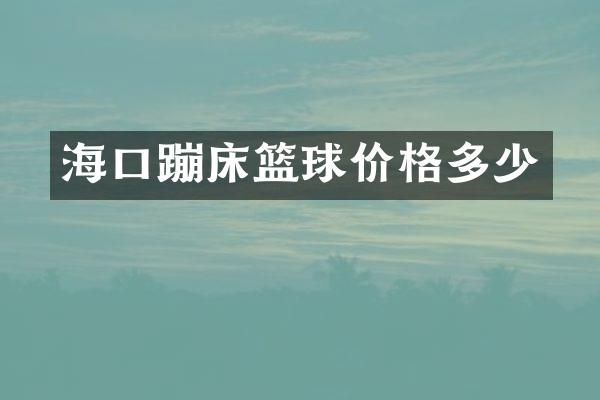 海口蹦床篮球价格多少