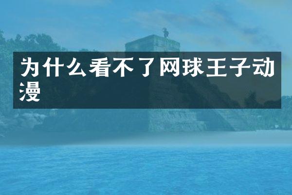 为什么看不了网球王子动漫