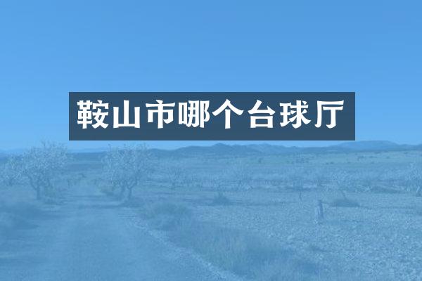 鞍山市哪个台球厅